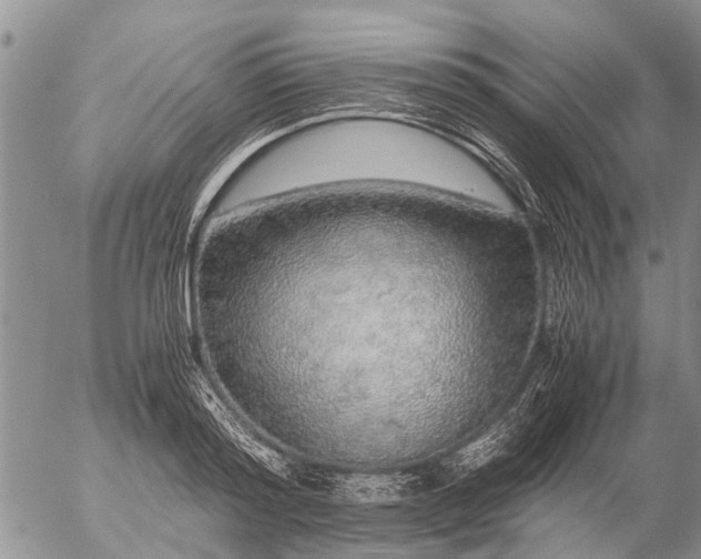 X0000057100796200509161653