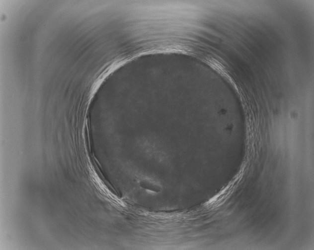 X0000057100797200509161653