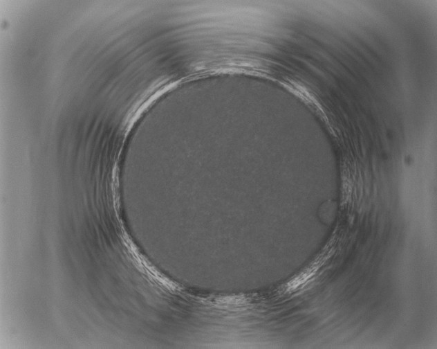 X0000057100798200509161653