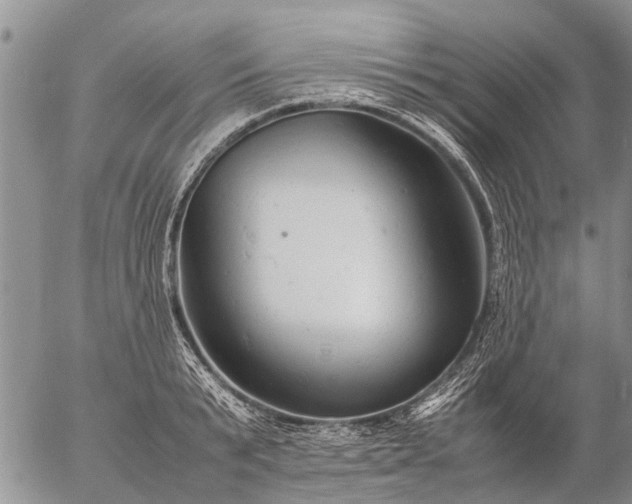 X0000057100799200509161653