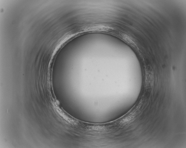 X0000057100800200509161653