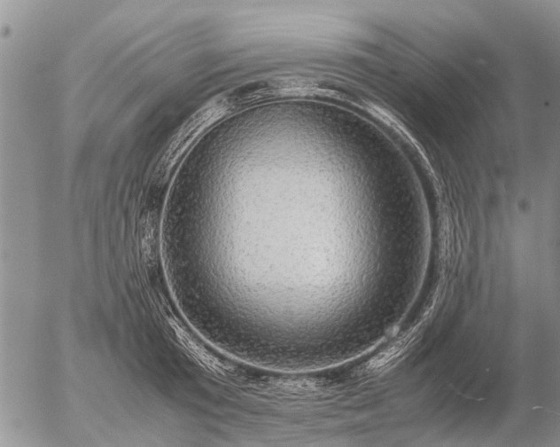 X0000057100801200509161653