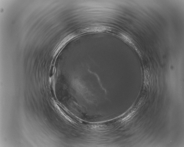 X0000057100802200509161653