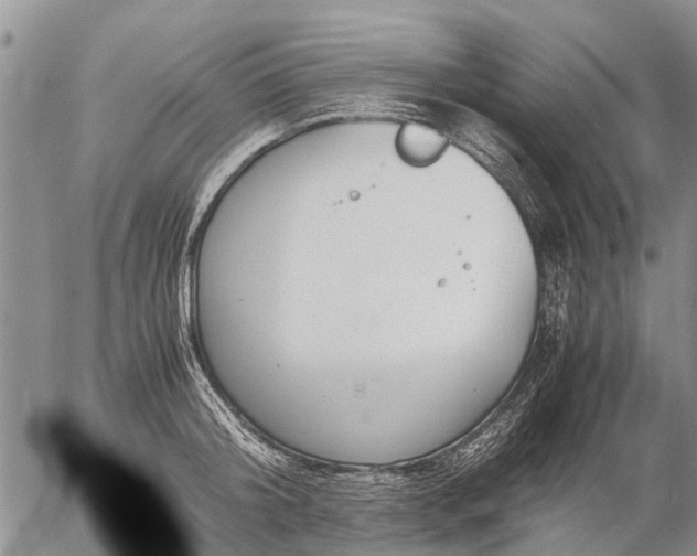 X0000057100804200509161653