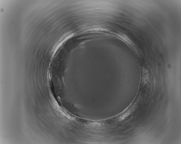 X0000057100806200509161653