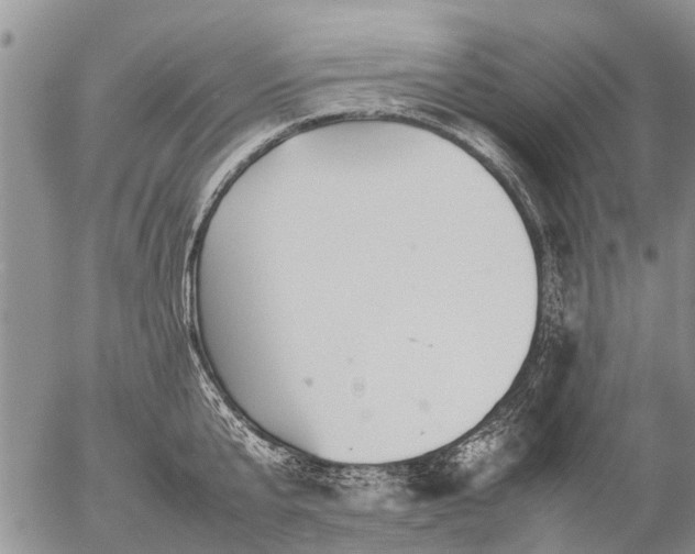 X0000057100807200509161653