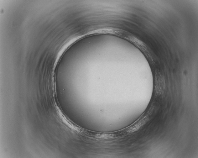 X0000057100808200509161653