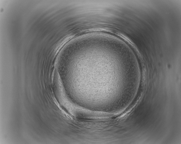 X0000057100809200509161653