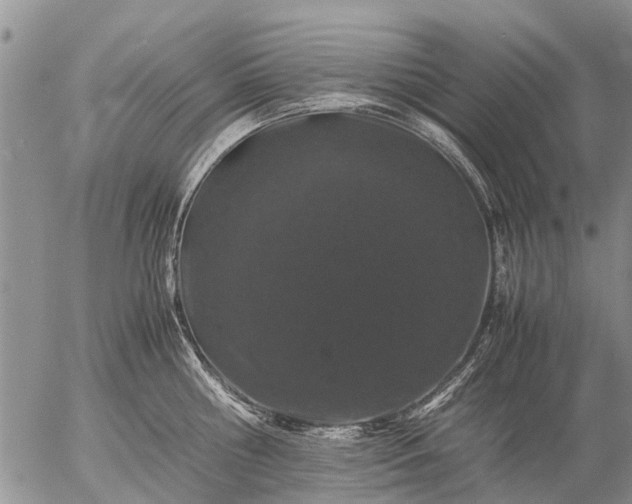 X0000057100810200509161653