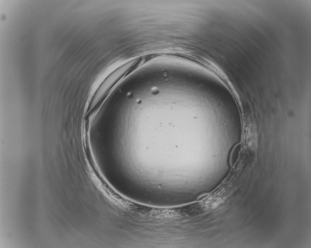 X0000057100811200509161653