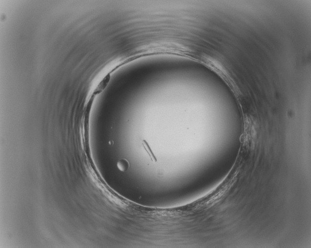 X0000057100812200509161653