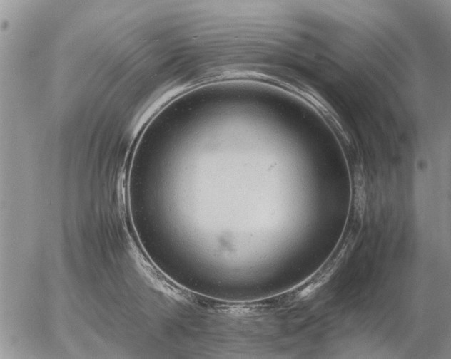 X0000057100814200509161653