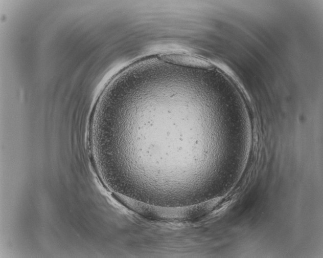 X0000057100815200509161653