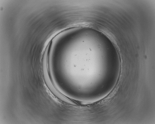 X0000057100816200509161653