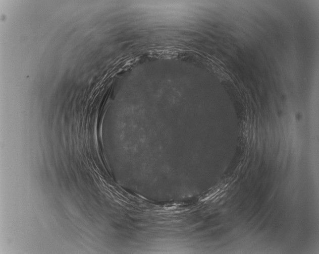 X0000057100818200509161652