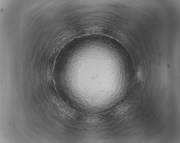 X0000057100819200509161652