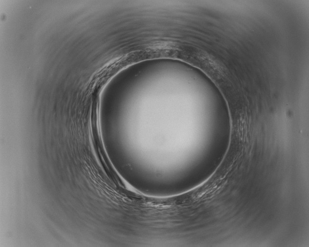 X0000057100821200509161652