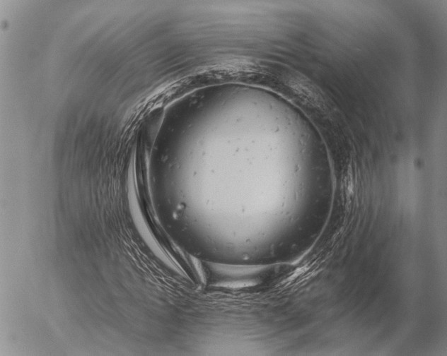 X0000057100822200509161652