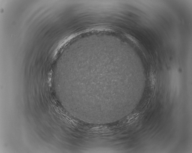 X0000057100823200509161652