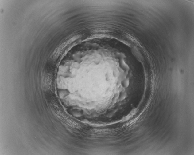 X0000057100825200509161652