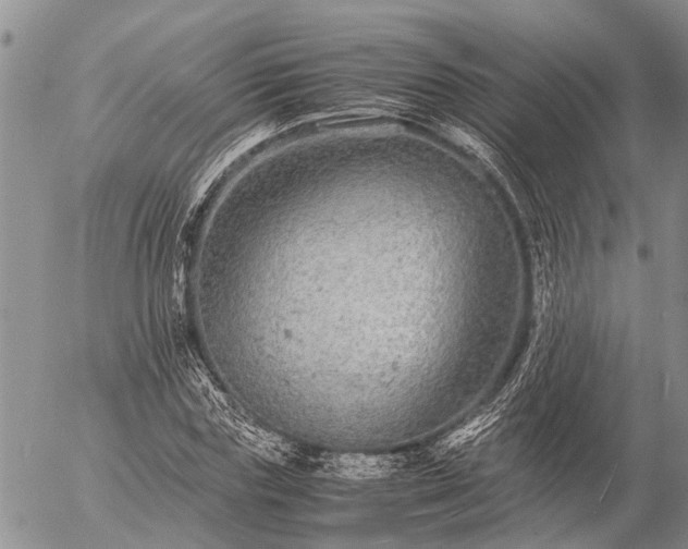 X0000057100827200509161652