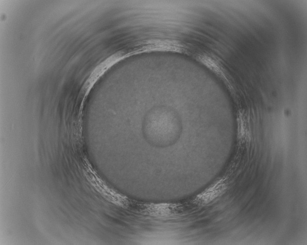 X0000057100828200509161652