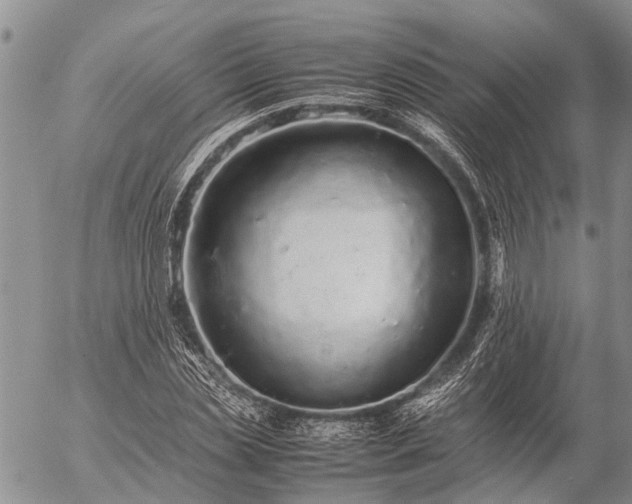 X0000057100829200509161652