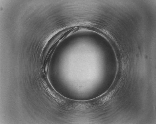 X0000057100830200509161652