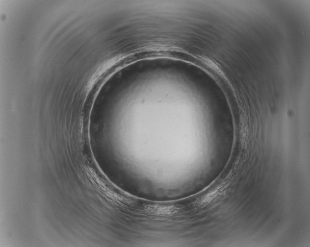 X0000057100831200509161652