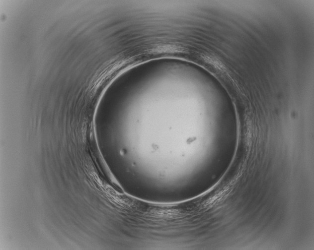 X0000057100833200509161652