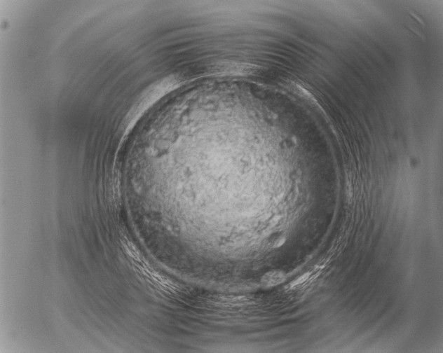 X0000057100835200509161652