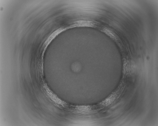 X0000057100836200509161652