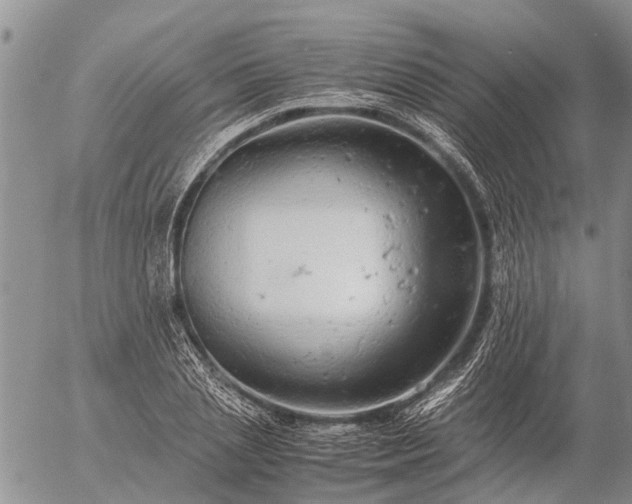 X0000057100837200509161652