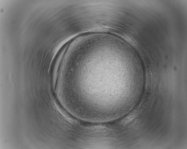 X0000057100838200509161652