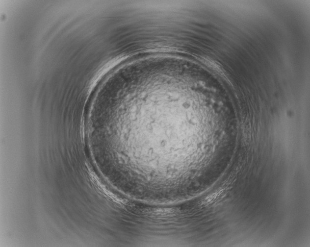 X0000057100839200509161652