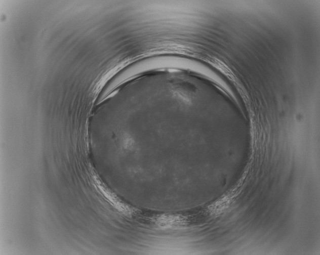 X0000057100842200509161653