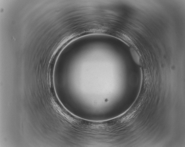 X0000057100843200509161653