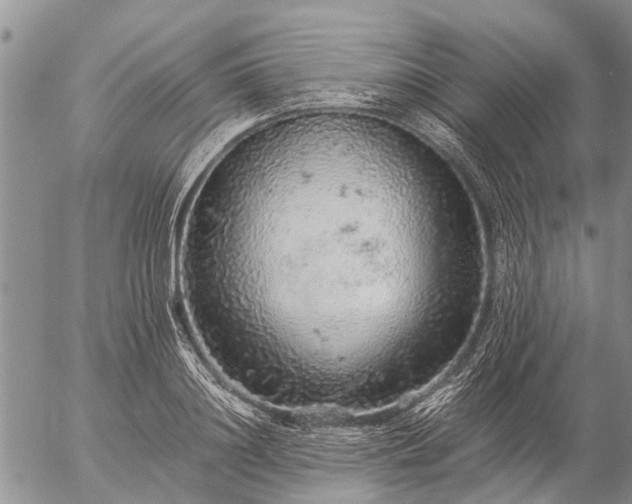 X0000057100844200509161653