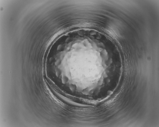 X0000057100845200509161653