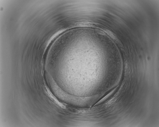 X0000057100846200509161653