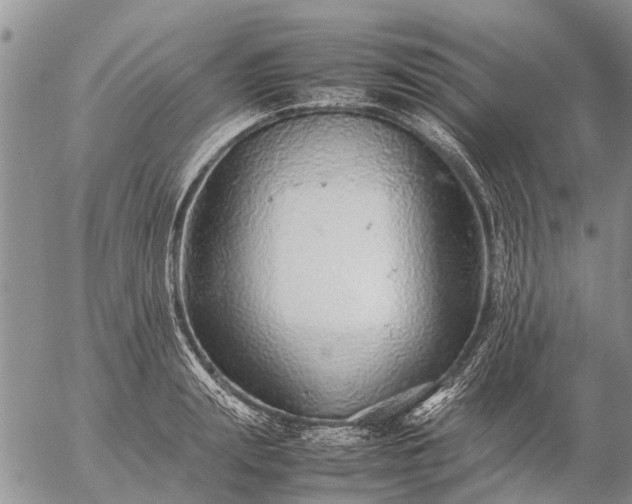 X0000057100847200509161653