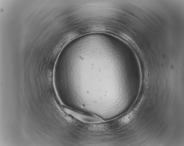 X0000057100849200509161653