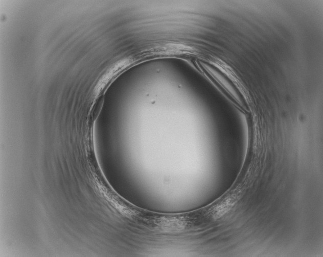 X0000057100850200509161653