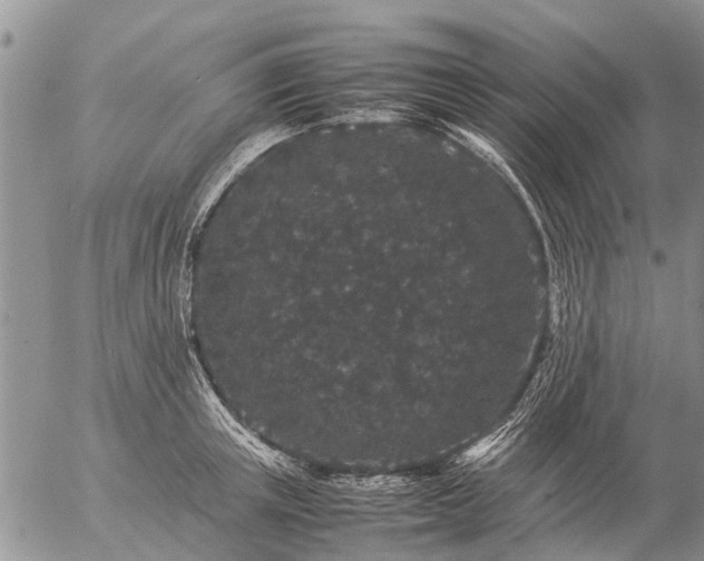 X0000057100851200509161653