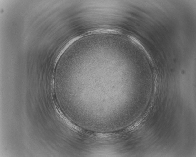 X0000057100852200509161653