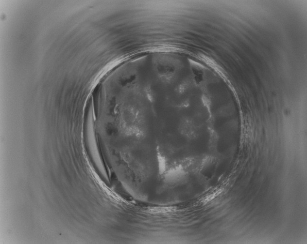 X0000057100853200509161653