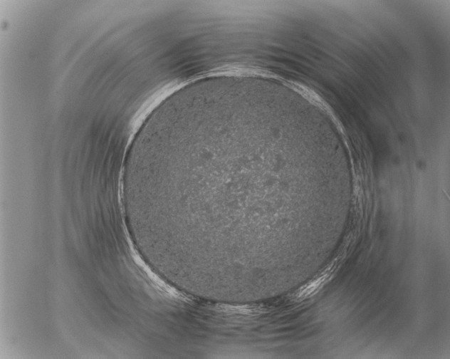 X0000057100855200509161653