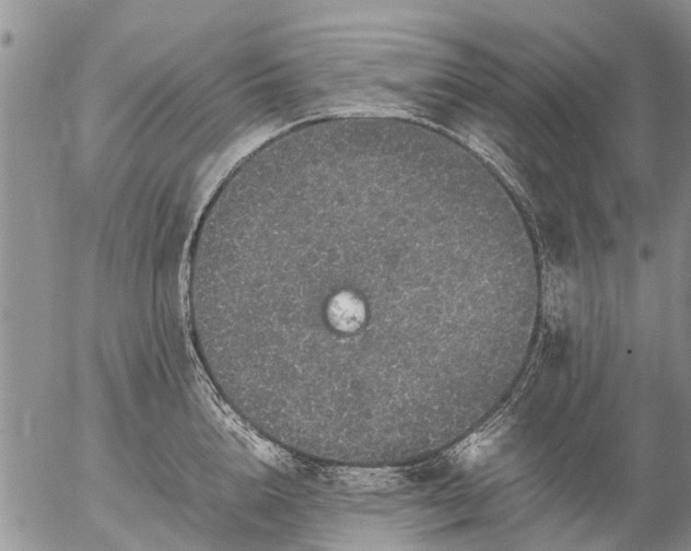 X0000057100856200509161653