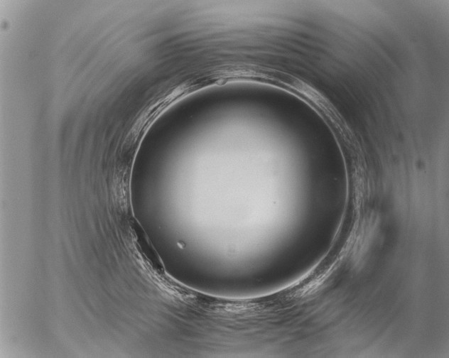 X0000057100857200509161653