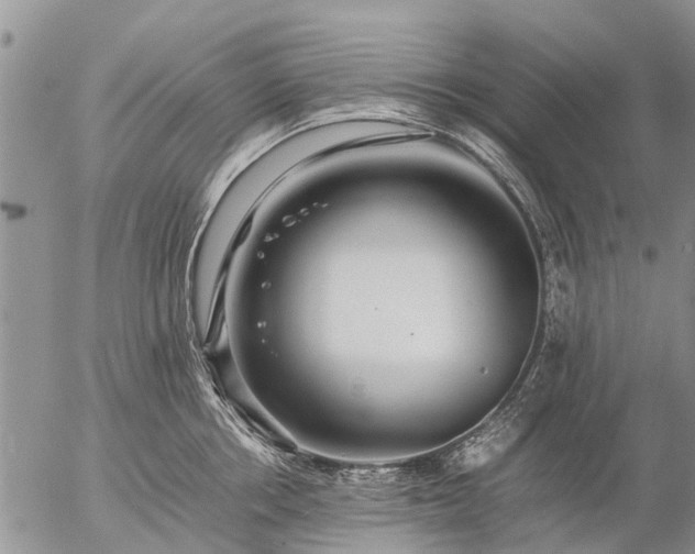 X0000057100858200509161653